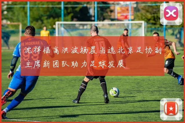 沈祥福高洪波杨晨当选北京足协副主席新团队助力足球发展