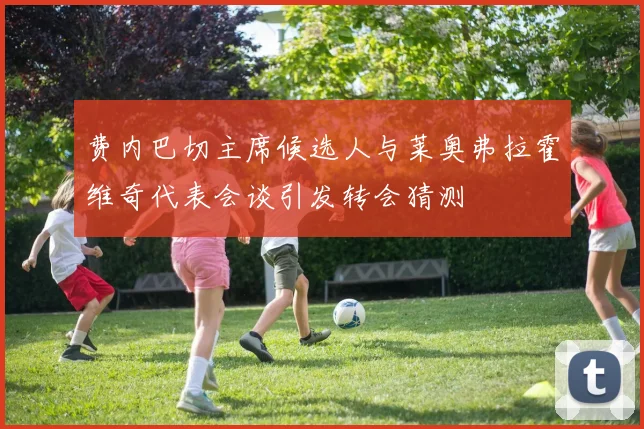 费内巴切主席候选人与莱奥弗拉霍维奇代表会谈引发转会猜测