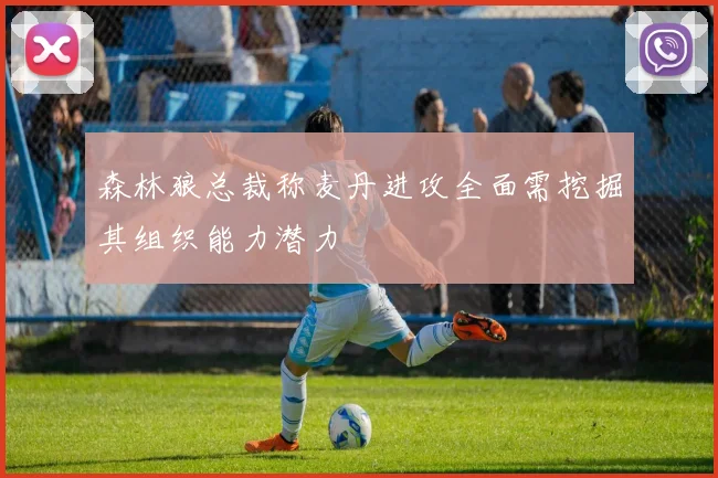 森林狼总裁称麦丹进攻全面需挖掘其组织能力潜力