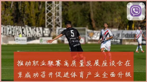 推动职业联赛高质量发展座谈会在京成功召开促进体育产业全面升级与创新发展